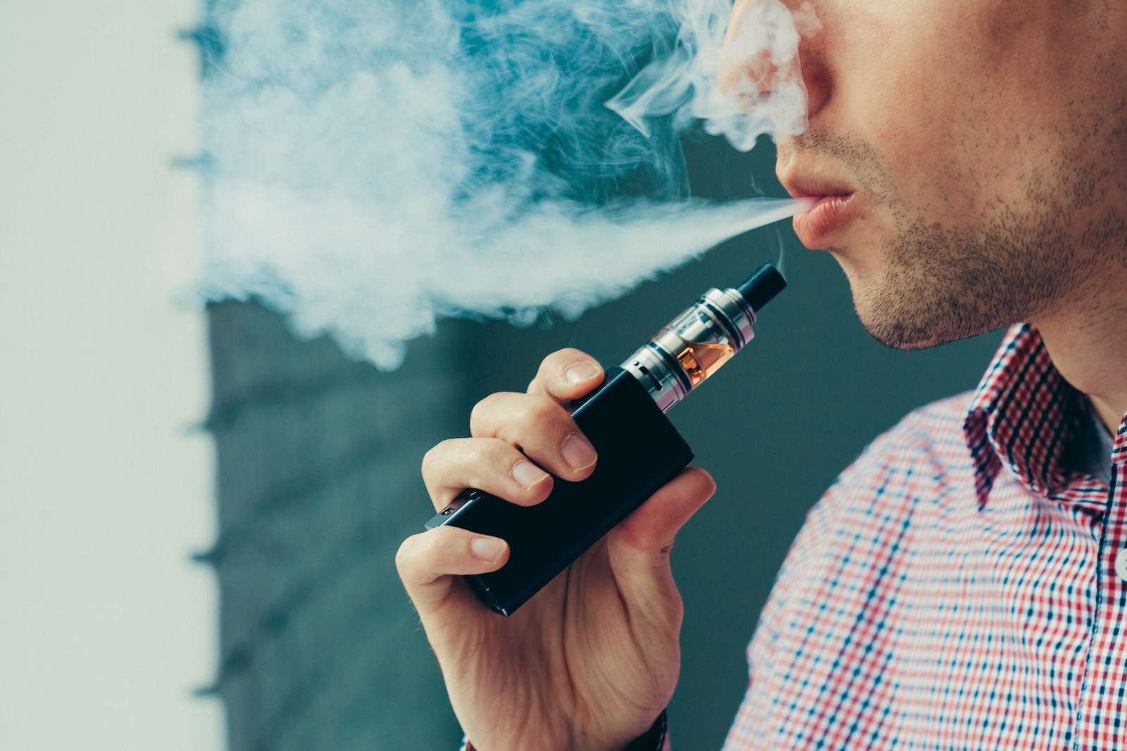 Jungle Boys: Exklusive THC Vapes und Cannabis online kaufen